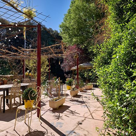 B&B Mas Torrencito Pet Friendly Parets de Ampurdá Dış mekan fotoğraf