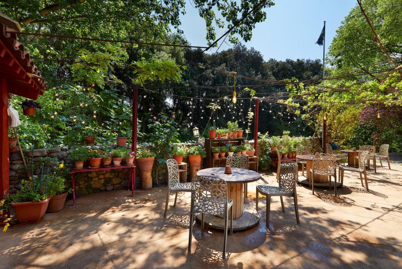 B&B Mas Torrencito Pet Friendly Parets de Ampurdá Dış mekan fotoğraf