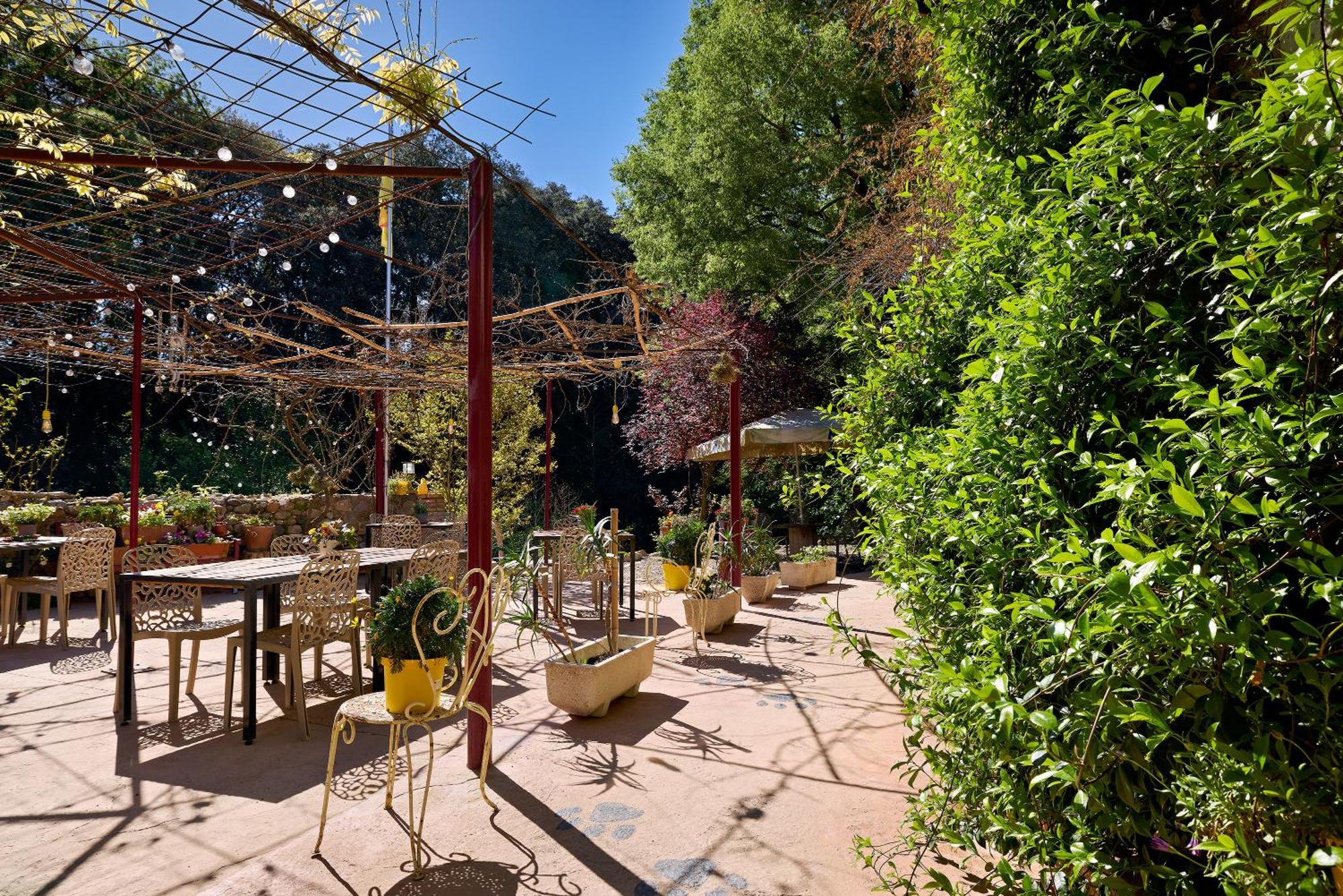 B&B Mas Torrencito Pet Friendly Parets de Ampurdá Dış mekan fotoğraf