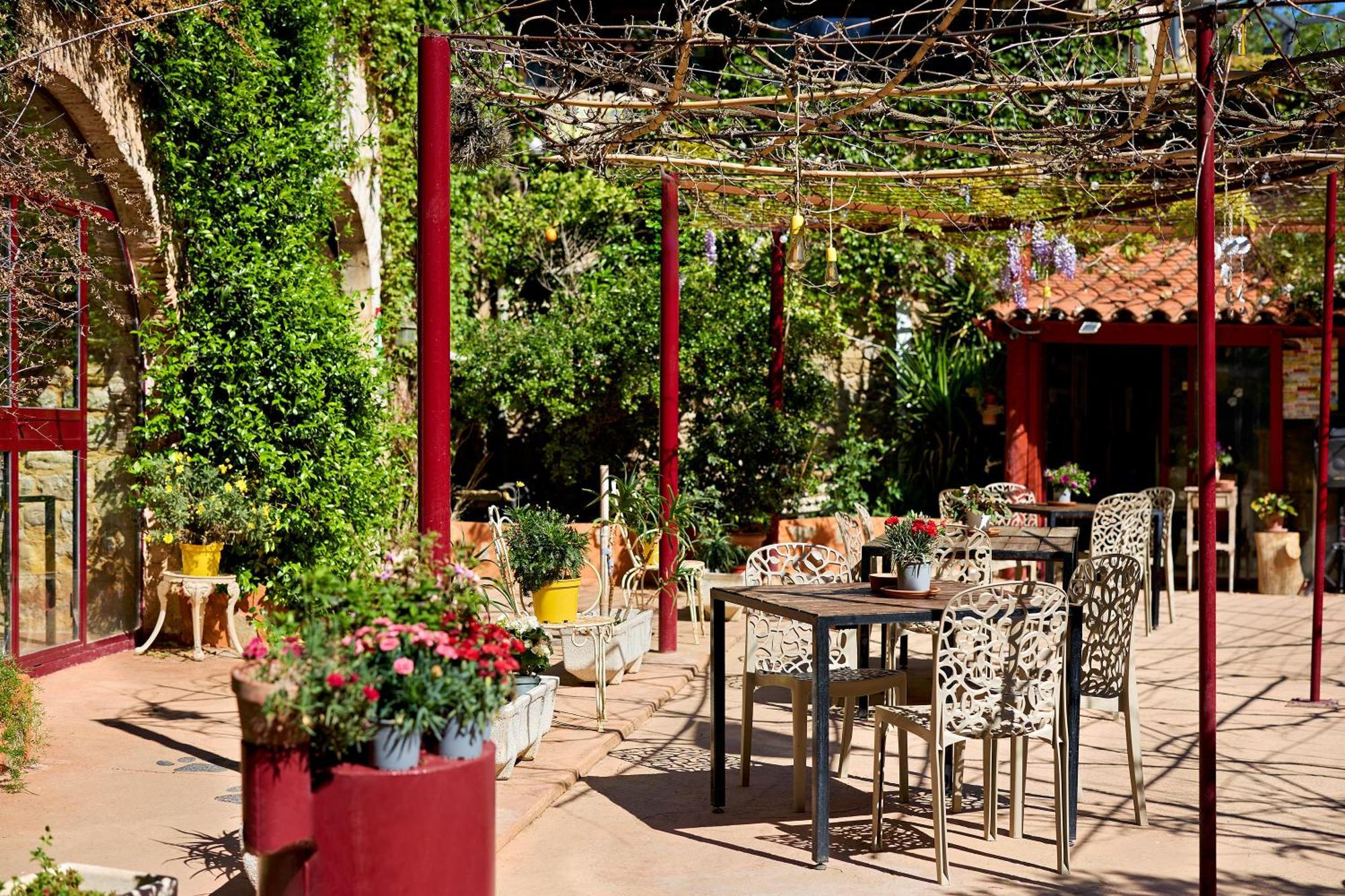 B&B Mas Torrencito Pet Friendly Parets de Ampurdá Dış mekan fotoğraf