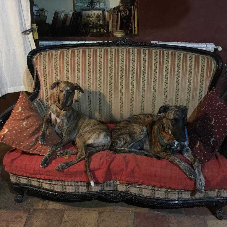 B&B Mas Torrencito Pet Friendly Parets de Ampurdá Dış mekan fotoğraf