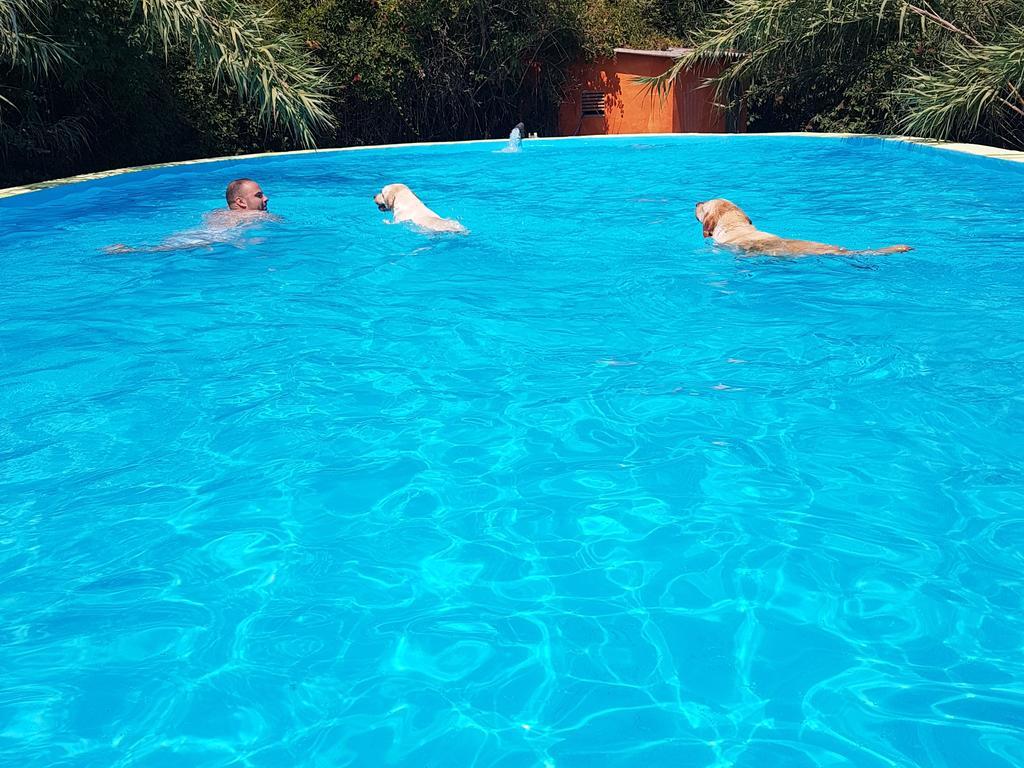 B&B Mas Torrencito Pet Friendly Parets de Ampurdá Dış mekan fotoğraf